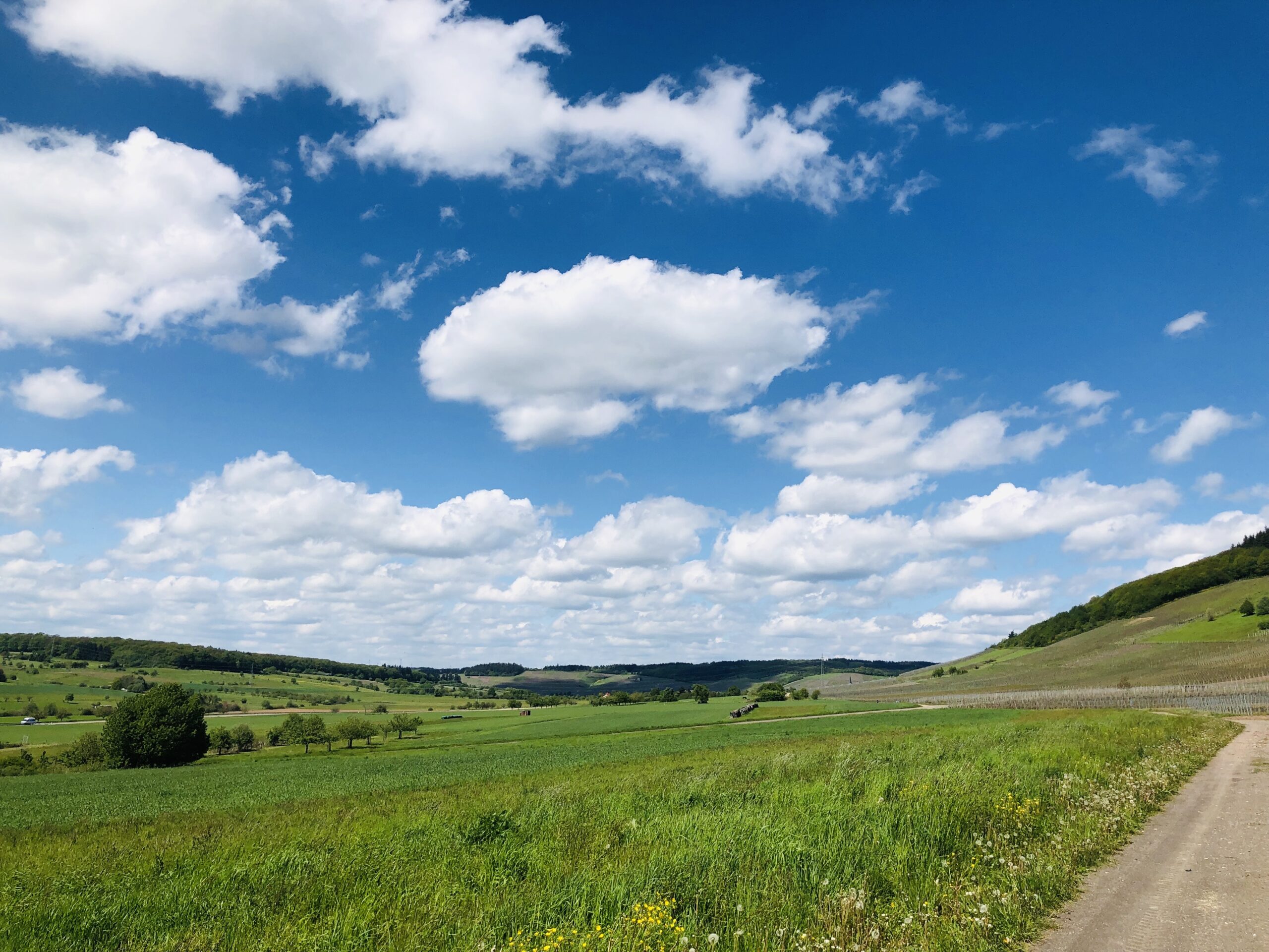 A picturesque rural landscape on a sunny day with a vivid blue sky scattered with fluffy white clouds. The foreground displays a grassy field with wildflowers and a dirt path curving gently to the right. The middle ground reveals a mix of trees and open farmland, while the background includes gentle hills covered with greenery.